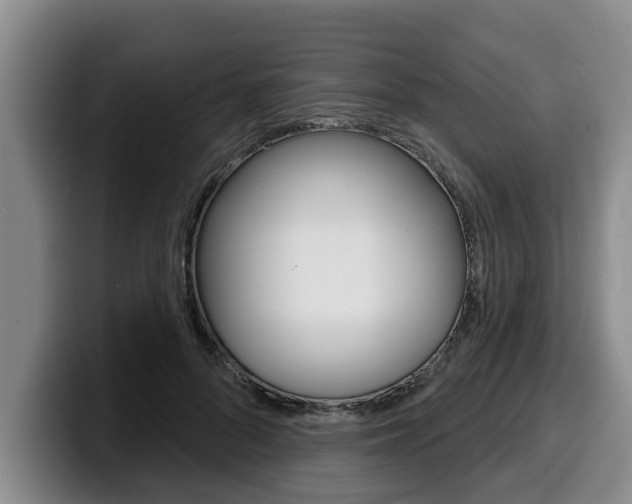 X0000100320696200806051350