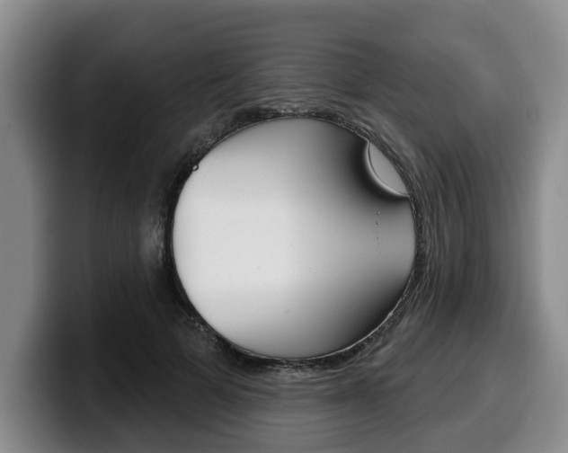 X0000100320697200806051350