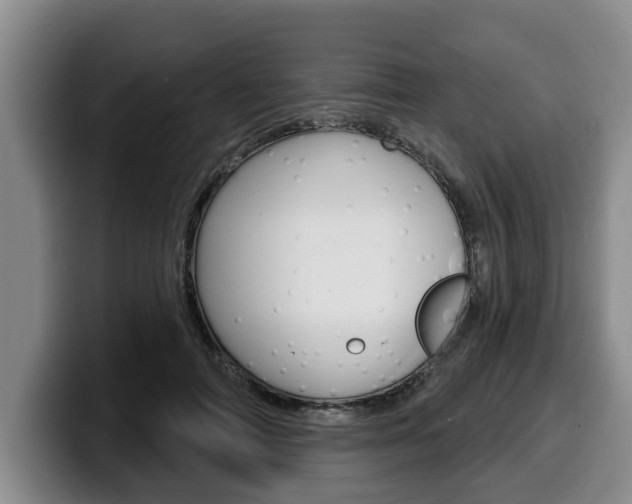 X0000100320698200806051350