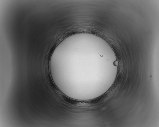 X0000100320699200806051350