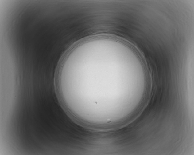 X0000100320701200806051350