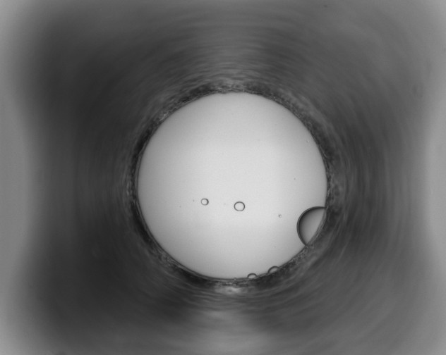 X0000100320706200806051350