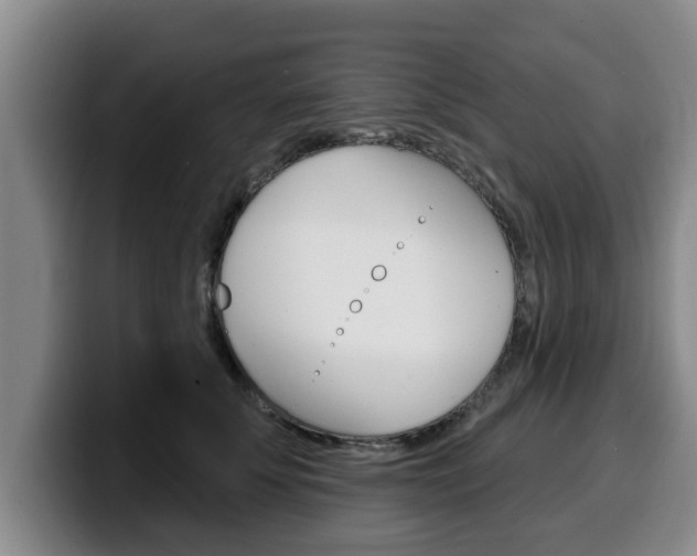 X0000100320707200806051350
