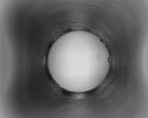 X0000100320711200806051350