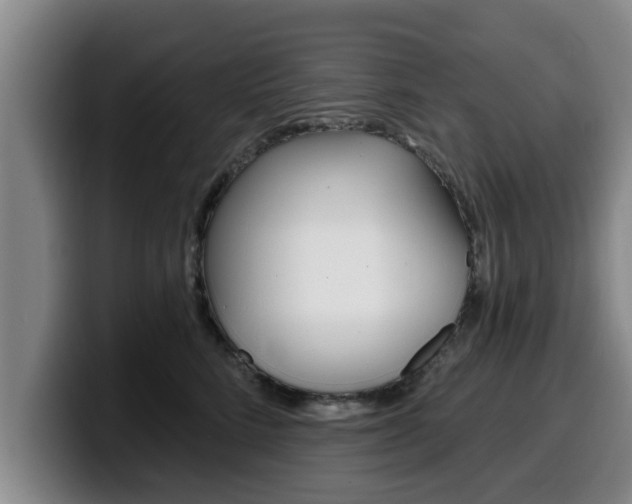 X0000100320712200806051350