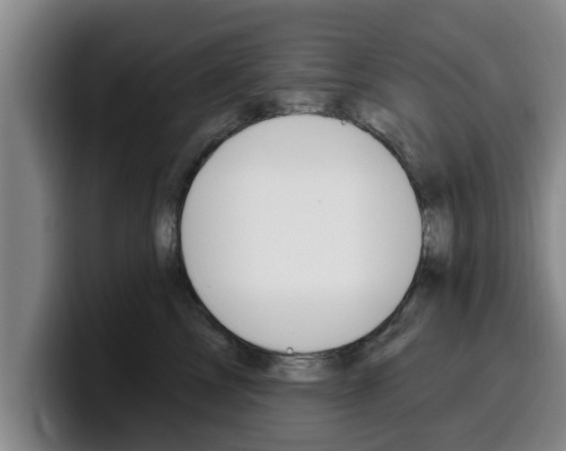 X0000100320713200806051350