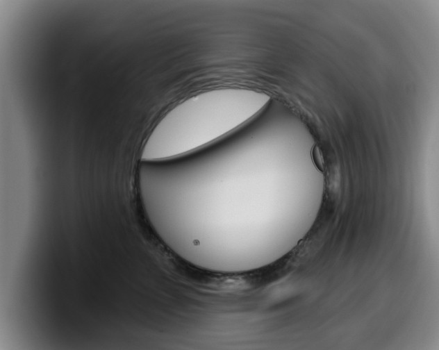 X0000100320715200806051350