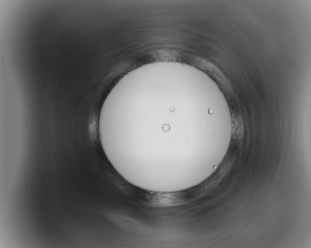 X0000100320717200806051350
