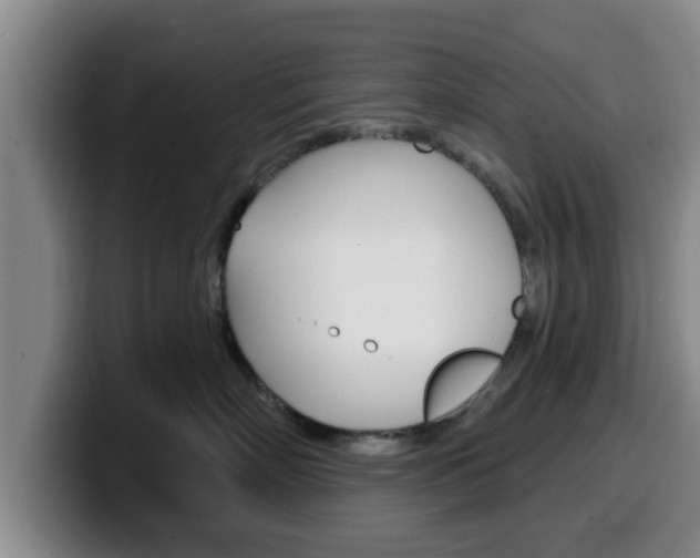 X0000100320718200806051350