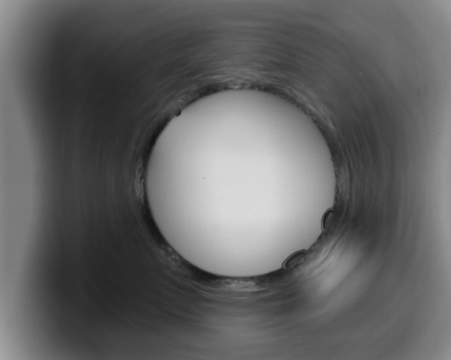 X0000100320719200806051350