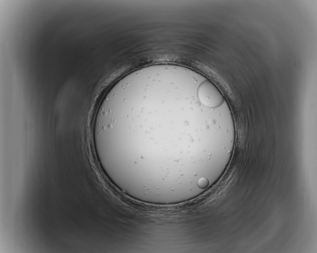 X0000100320721200806051349
