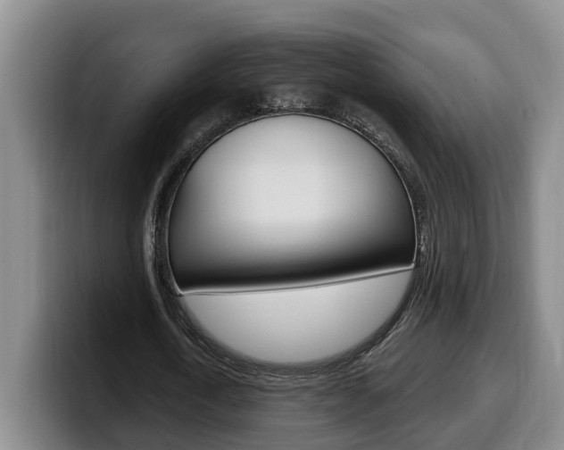 X0000100320722200806051349