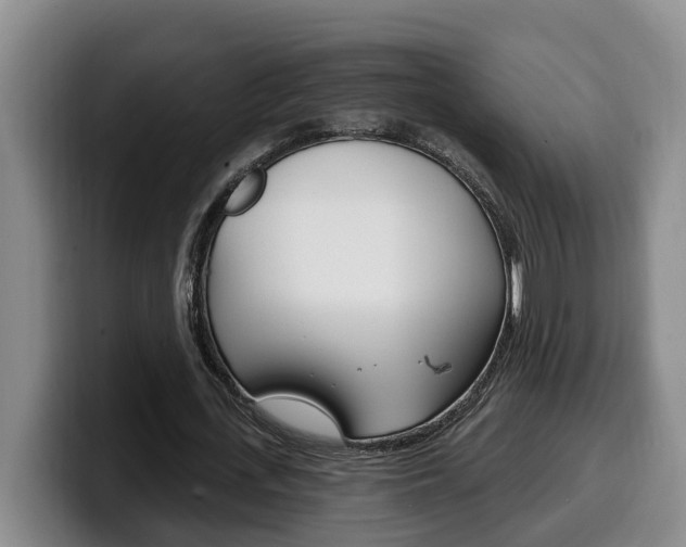 X0000100320723200806051349