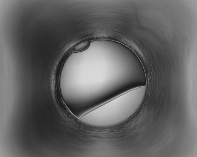 X0000100320724200806051349