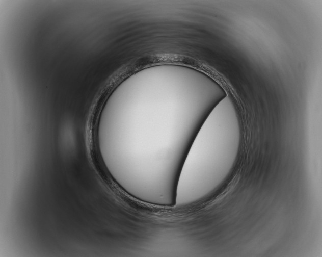 X0000100320725200806051349
