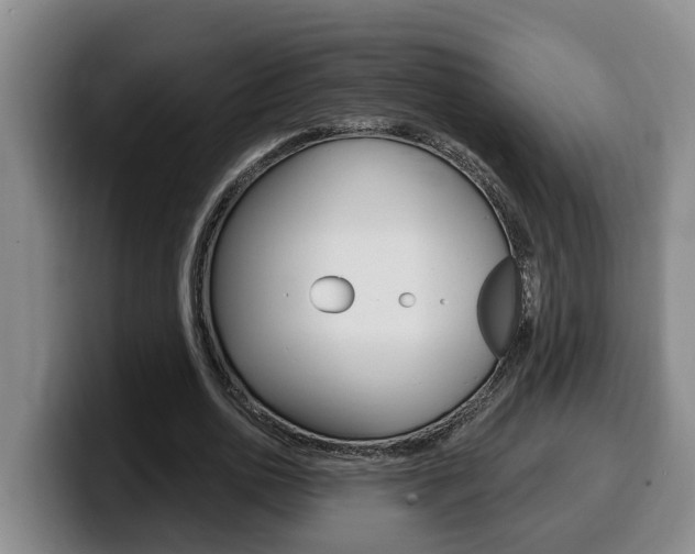 X0000100320726200806051349