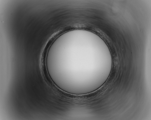 X0000100320727200806051349