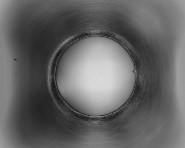 X0000100320728200806051349