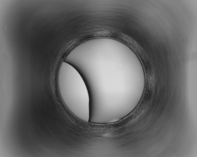 X0000100320729200806051349