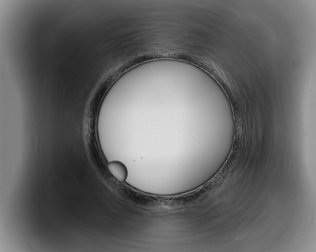 X0000100320736200806051349