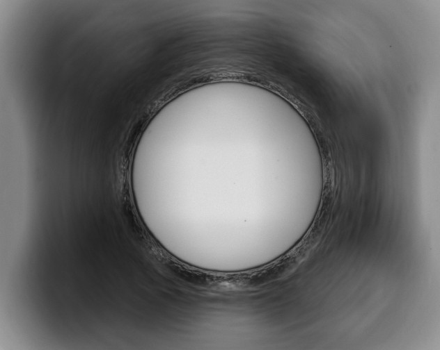 X0000100320737200806051349