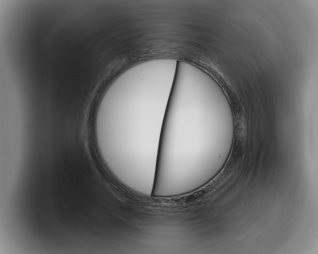 X0000100320738200806051349