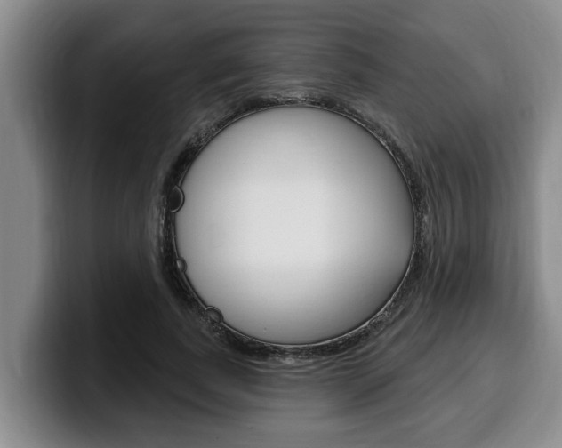 X0000100320739200806051349