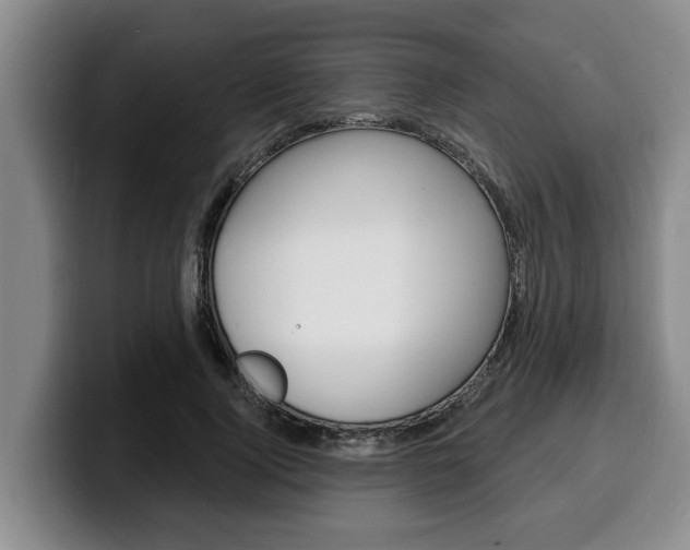 X0000100320740200806051349
