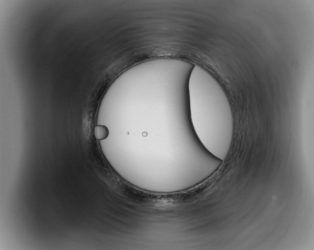 X0000100320741200806051349