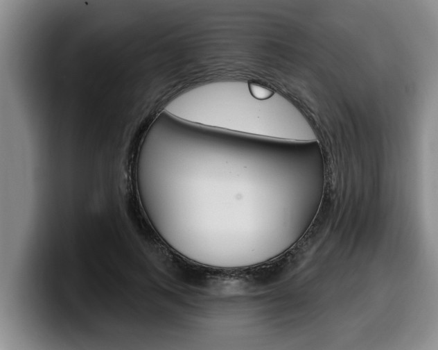 X0000100320743200806051349