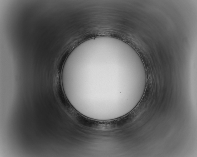 X0000100320744200806051349
