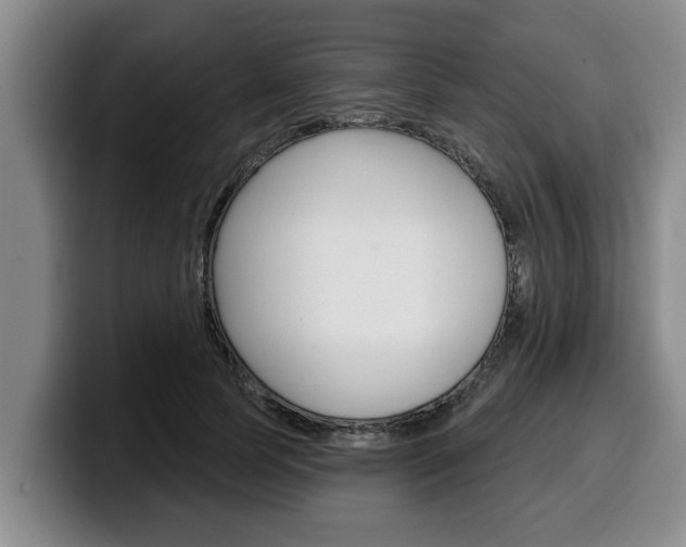 X0000100320745200806051349