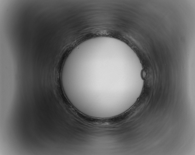 X0000100320747200806051349