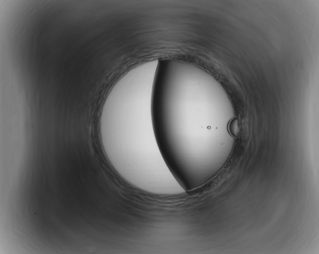 X0000100320750200806051349