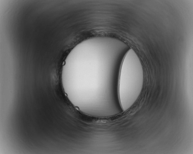 X0000100320751200806051349
