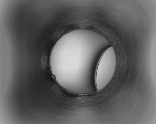 X0000100320752200806051349