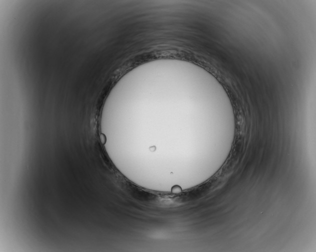 X0000100320753200806051349