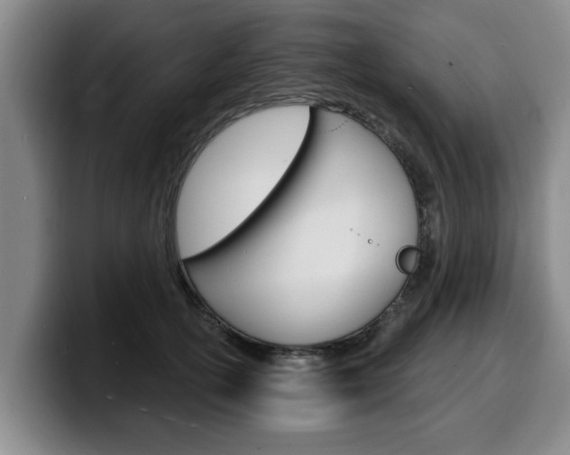X0000100320754200806051349