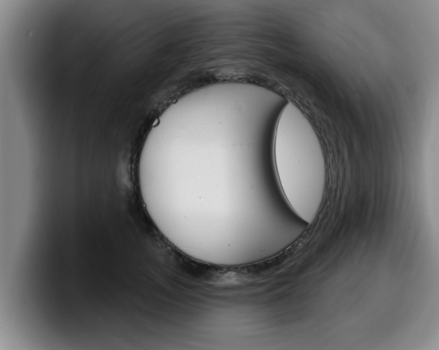 X0000100320755200806051349