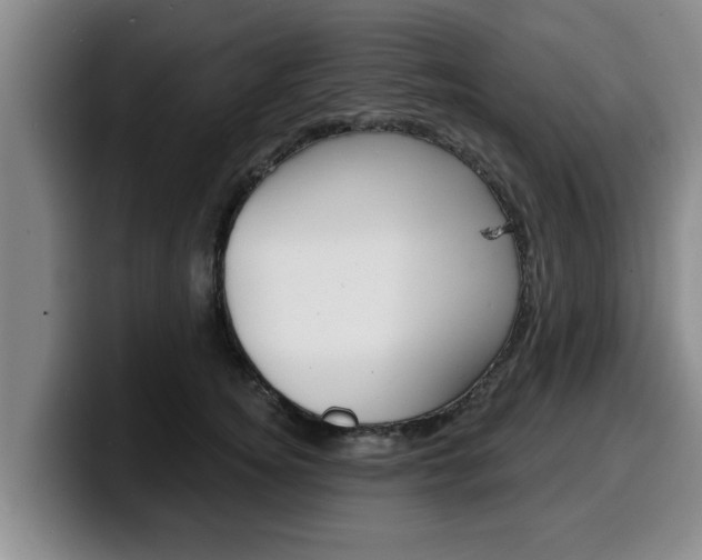 X0000100320756200806051349