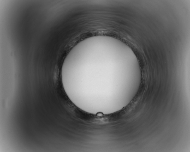 X0000100320760200806051349