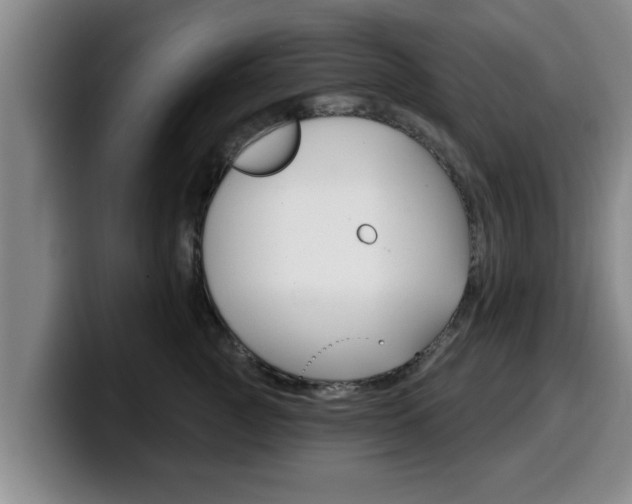 X0000100320761200806051349