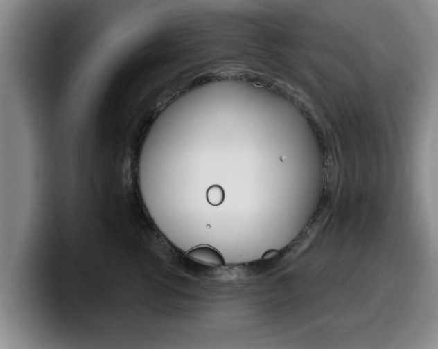 X0000100320762200806051349