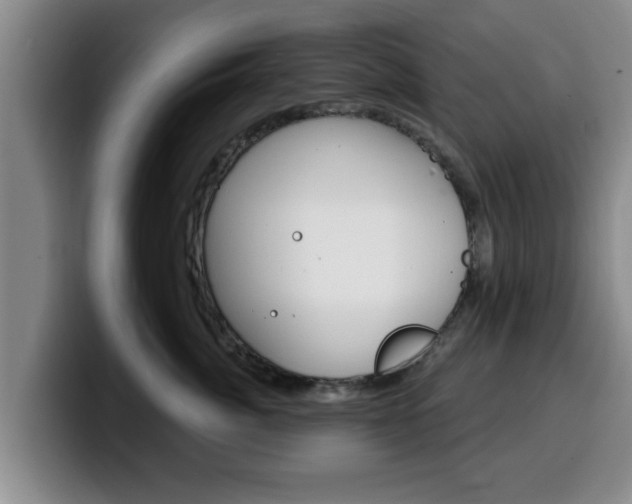 X0000100320764200806051350