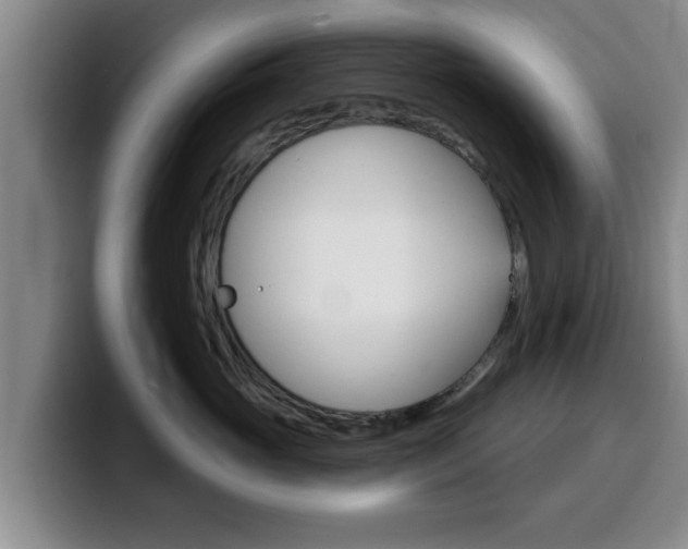 X0000100320765200806051350