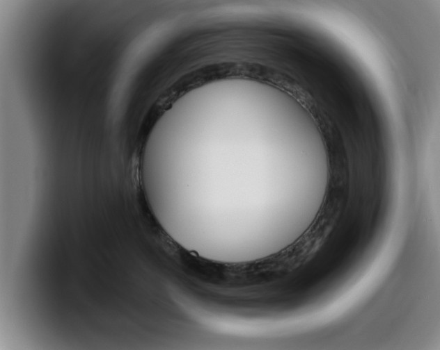 X0000100320766200806051350
