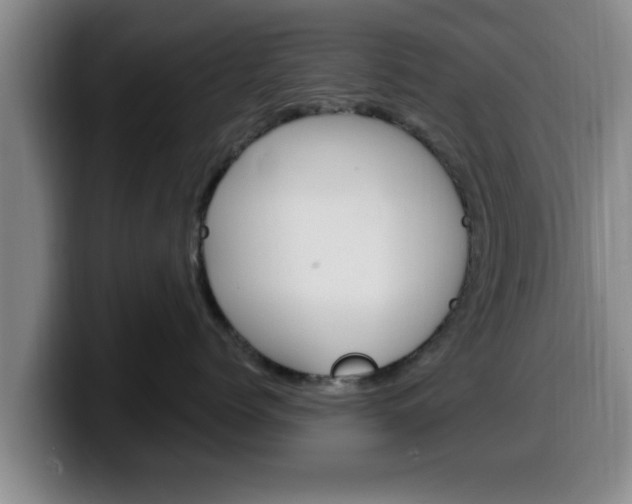 X0000100320768200806051350
