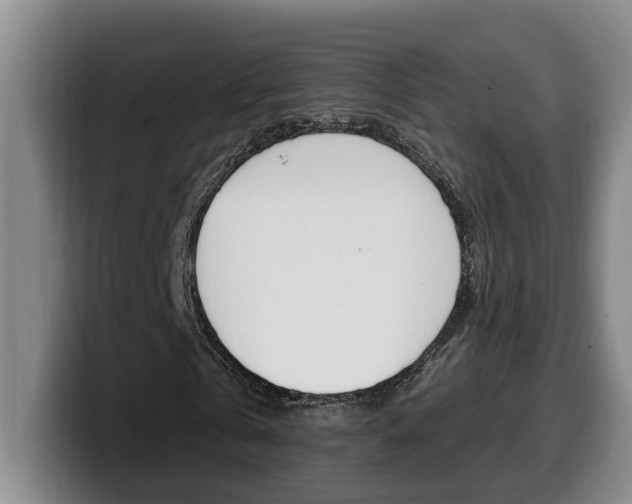 X0000100320769200806051349