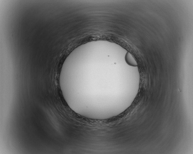 X0000100320770200806051349