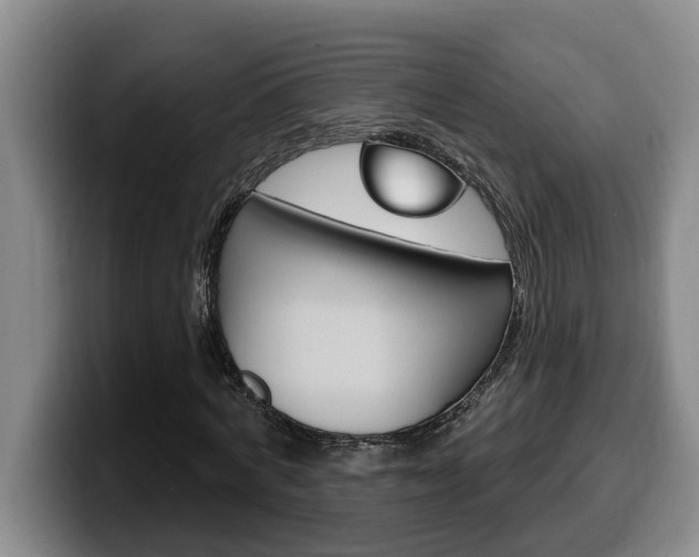 X0000100320772200806051349